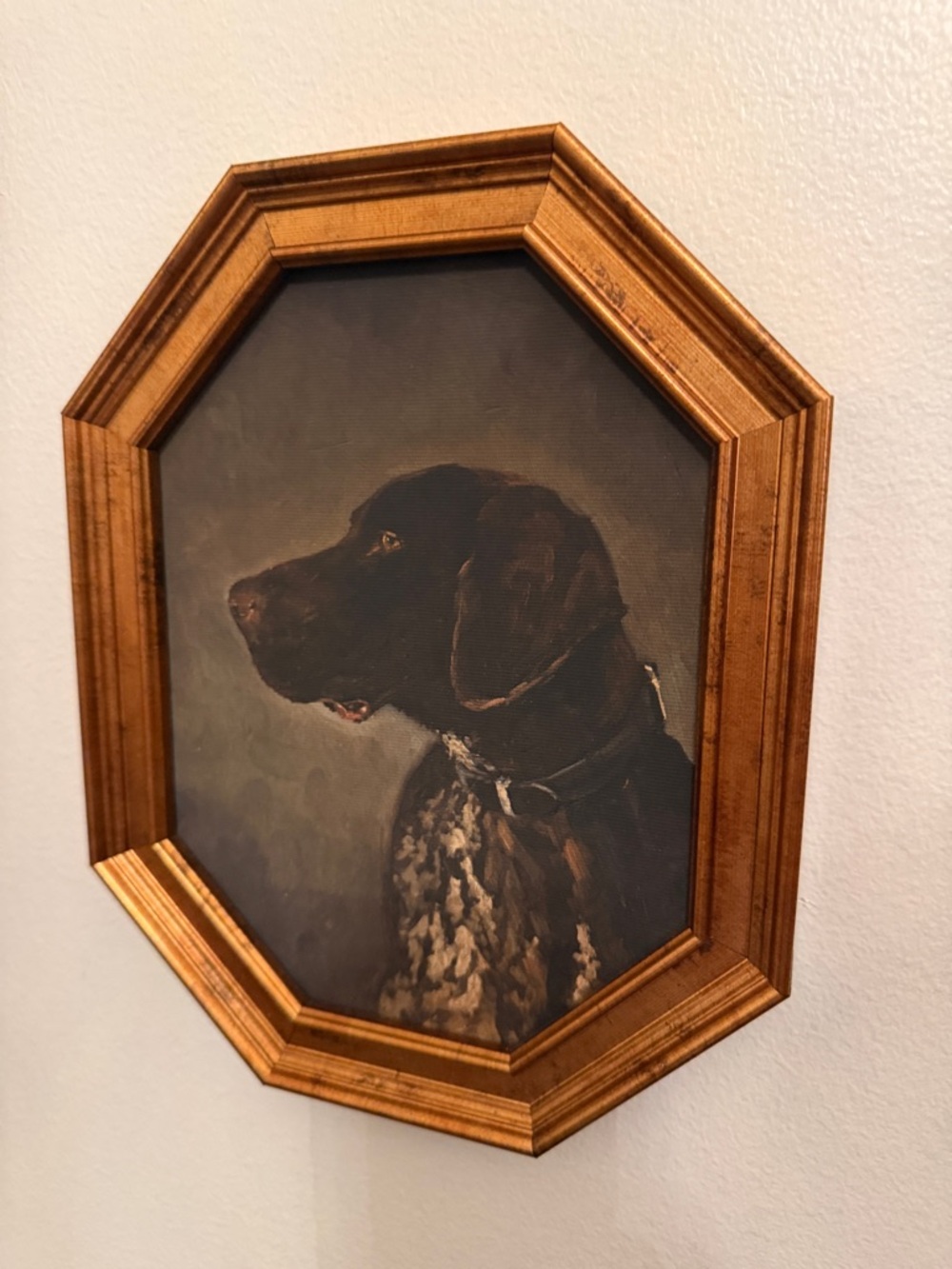 Gold Framed Dog Portrait Wall Art - Brown Dog